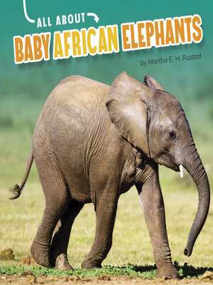 cover image of All About Baby African Elephants